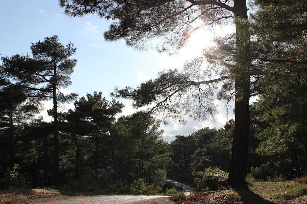 Assos Kayalar Terrace Hotel Sazli ภายนอก รูปภาพ